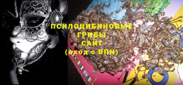 PSILOCYBIN Балахна