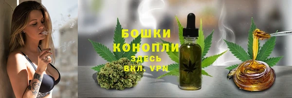 молекула духа Белокуриха