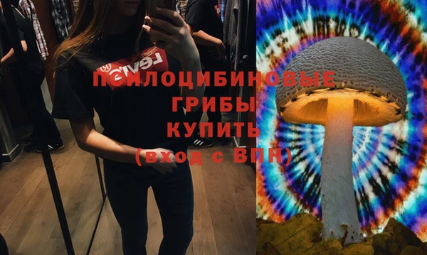 PSILOCYBIN Балахна