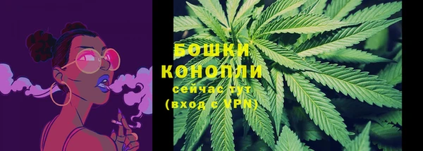 PSILOCYBIN Балахна