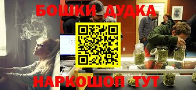 ALPHA PVP Гатчина