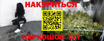 ALPHA PVP Гатчина