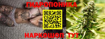 ALPHA PVP Гатчина