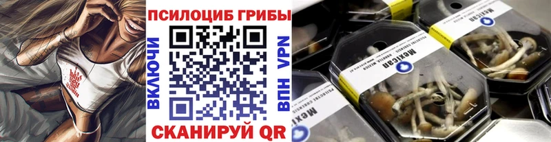 Псилоцибиновые грибы Psilocybe Армавир